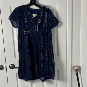 Maeve Midnight Blue Velvet Mini Dress